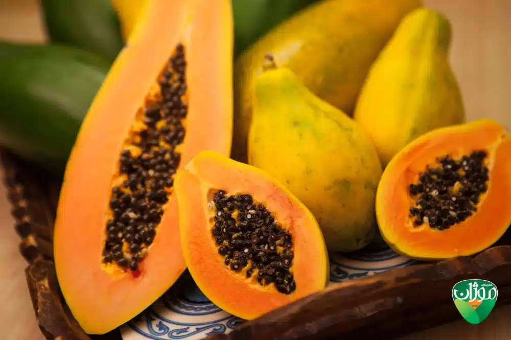 عکس میوه پاپایا