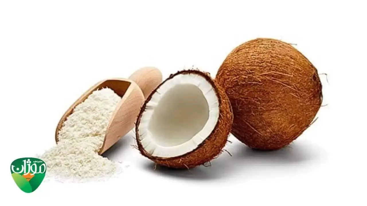 همه چیز درباره نارگیل خشک