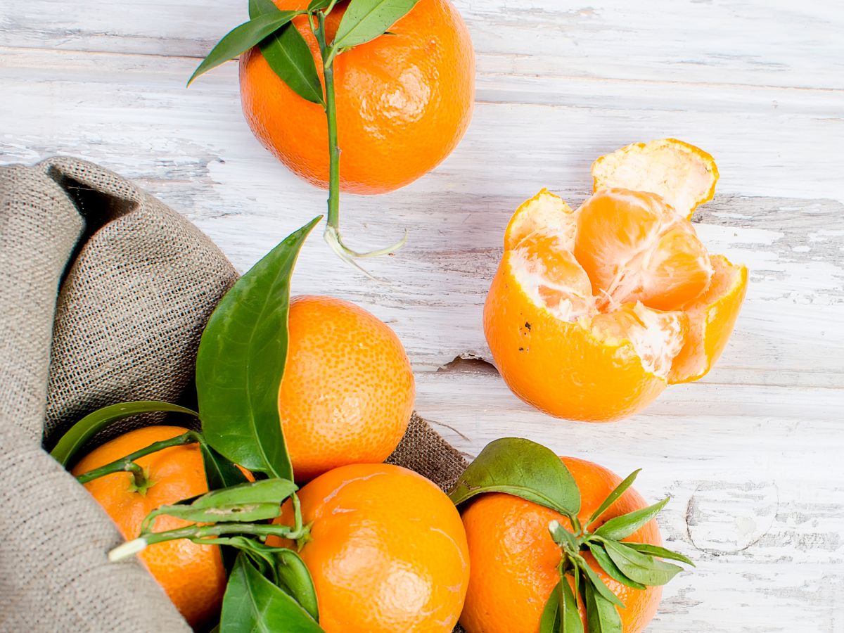 کلمانتین چیست و چه تفاوتی با نارنگی دارد