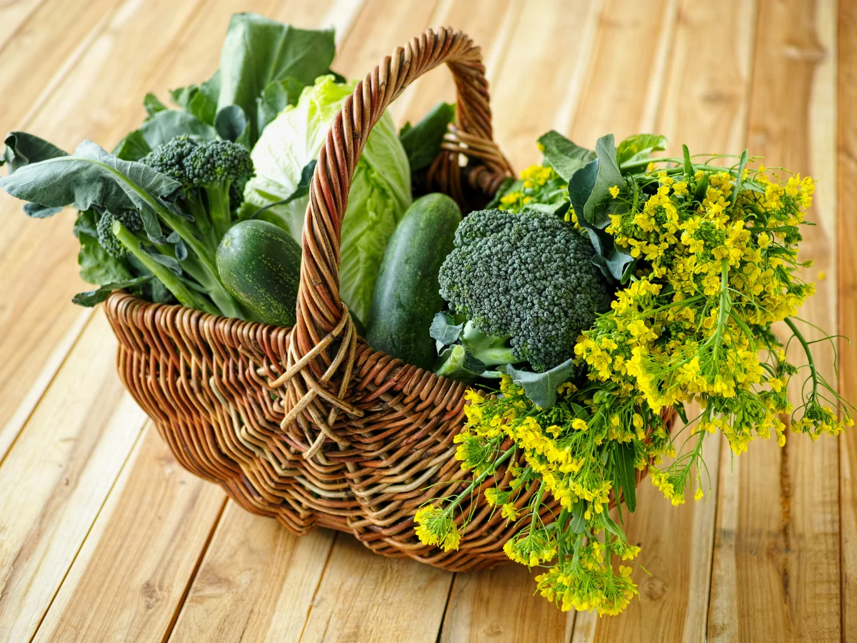 سبزیجات بخورید.- افزایش امید به زندگی