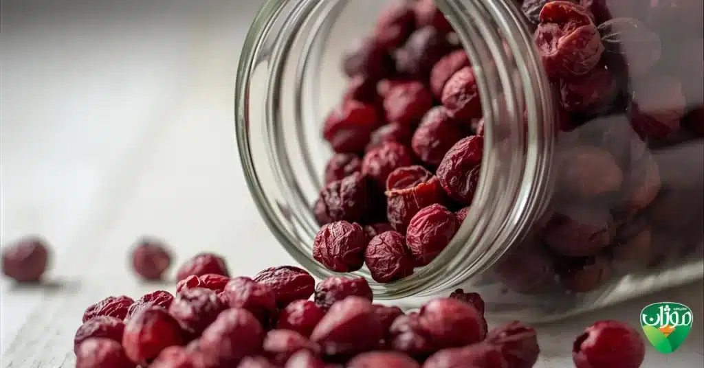 خواص کرنبری خشک