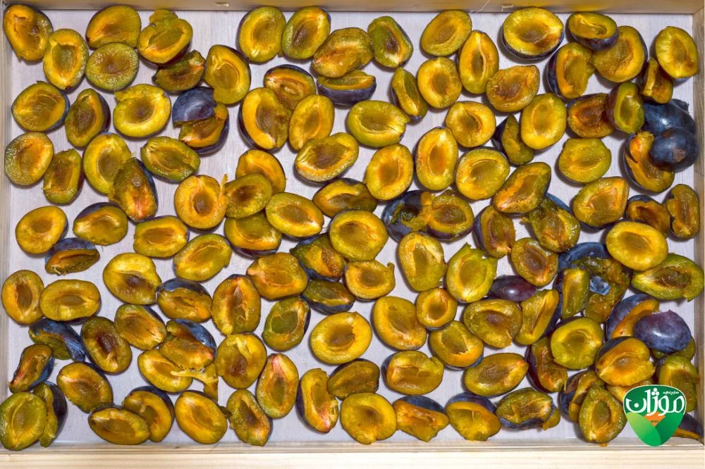 نحوه خشک کردن آلو