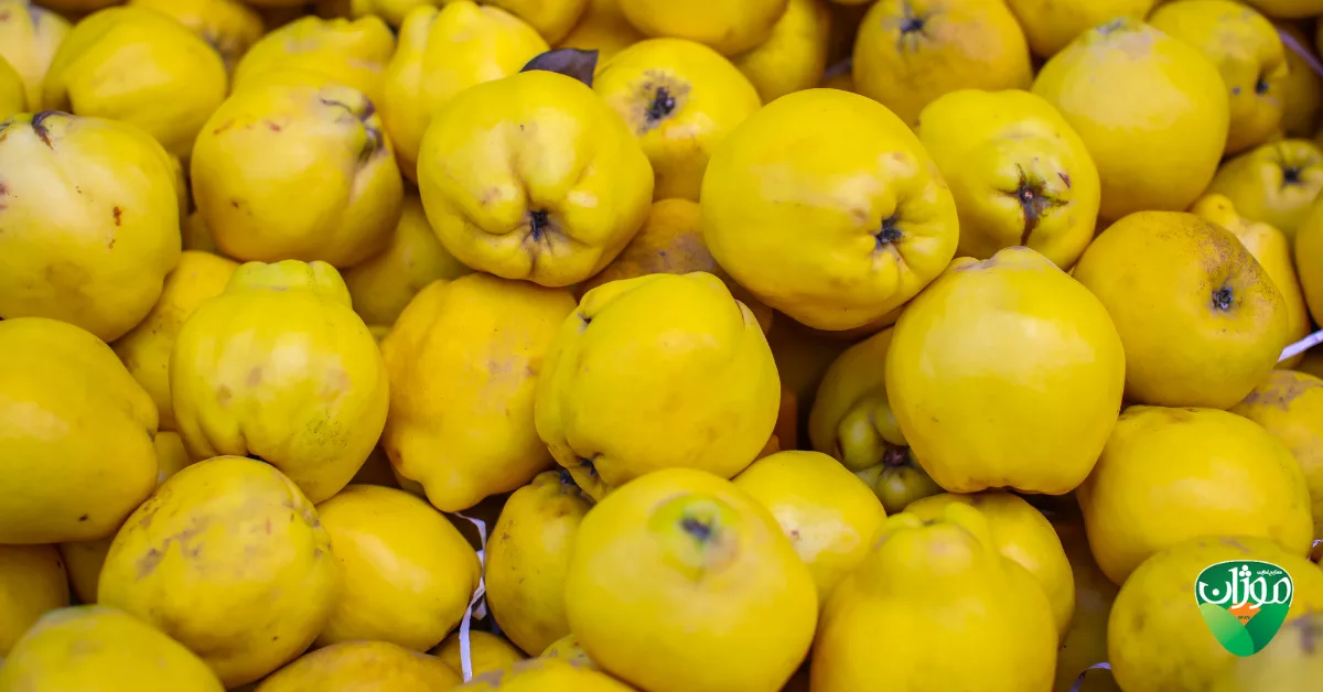 خواص میوه به