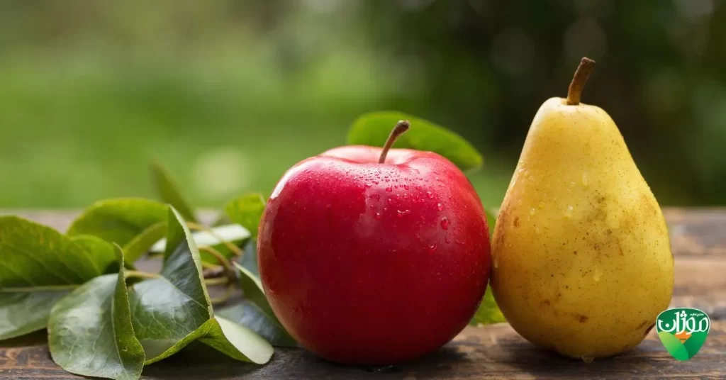 تولید سیب و گلابی در اروپا