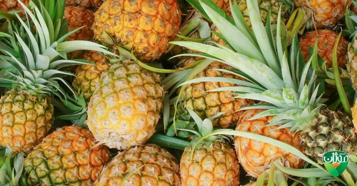 بازار جهانی آناناس